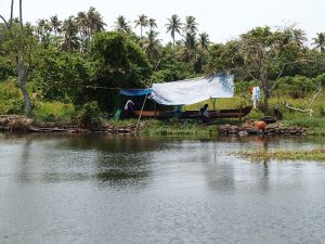 allepey backwaters