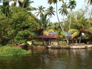 allepey backwaters