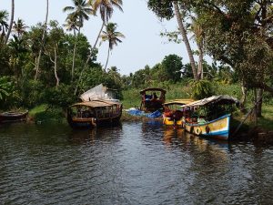 allepey backwaters