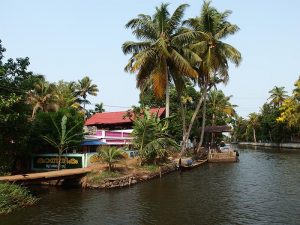 allepey backwaters