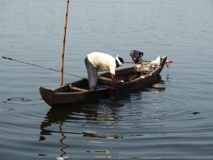 allepey backwaters